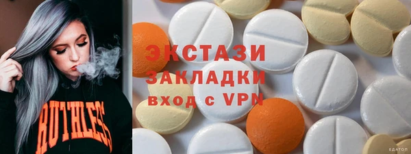 хмурый Алексин