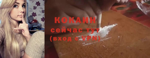 хмурый Алексин
