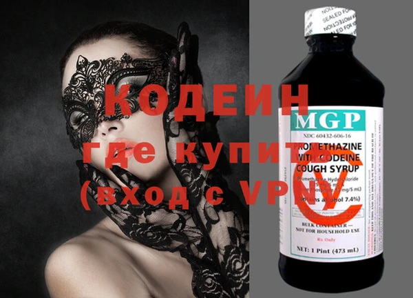 хмурый Алексин