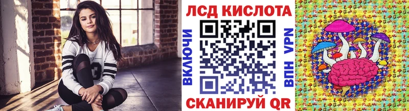 Купить Волоколамск Марки N-bome 1500мкг