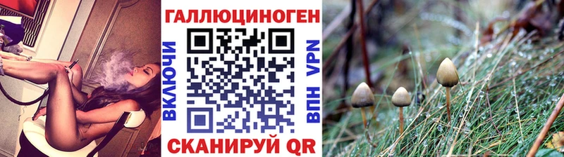 Купить  Волоколамск  Галлюциногенные грибы ЛСД 